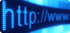 India - SEO, Web Design, Web Hosting Services Company